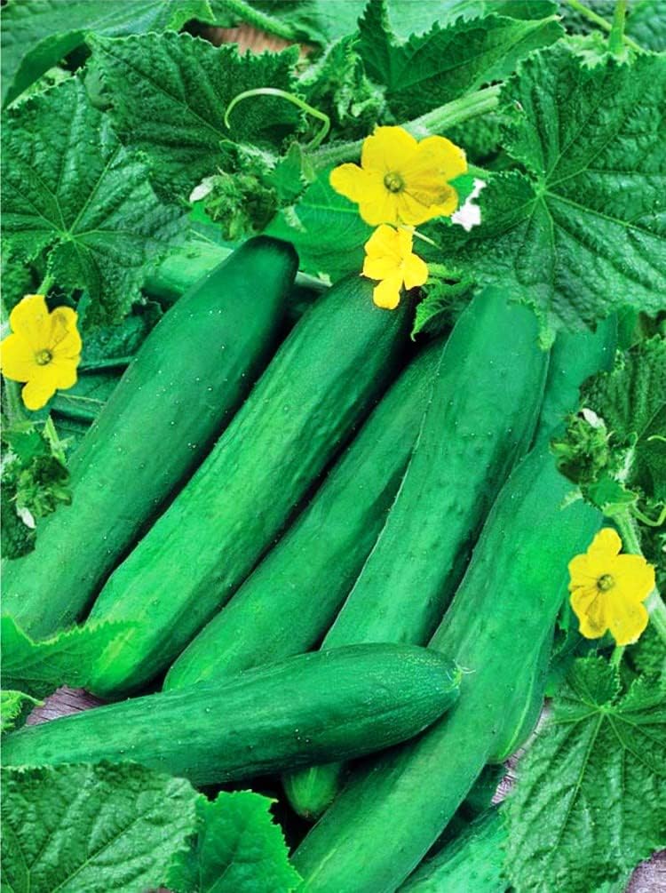 Vegetales