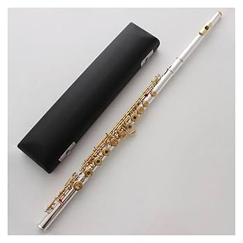 Amazon | 銀メッキフルート 金メッキリッププレート ゴールド