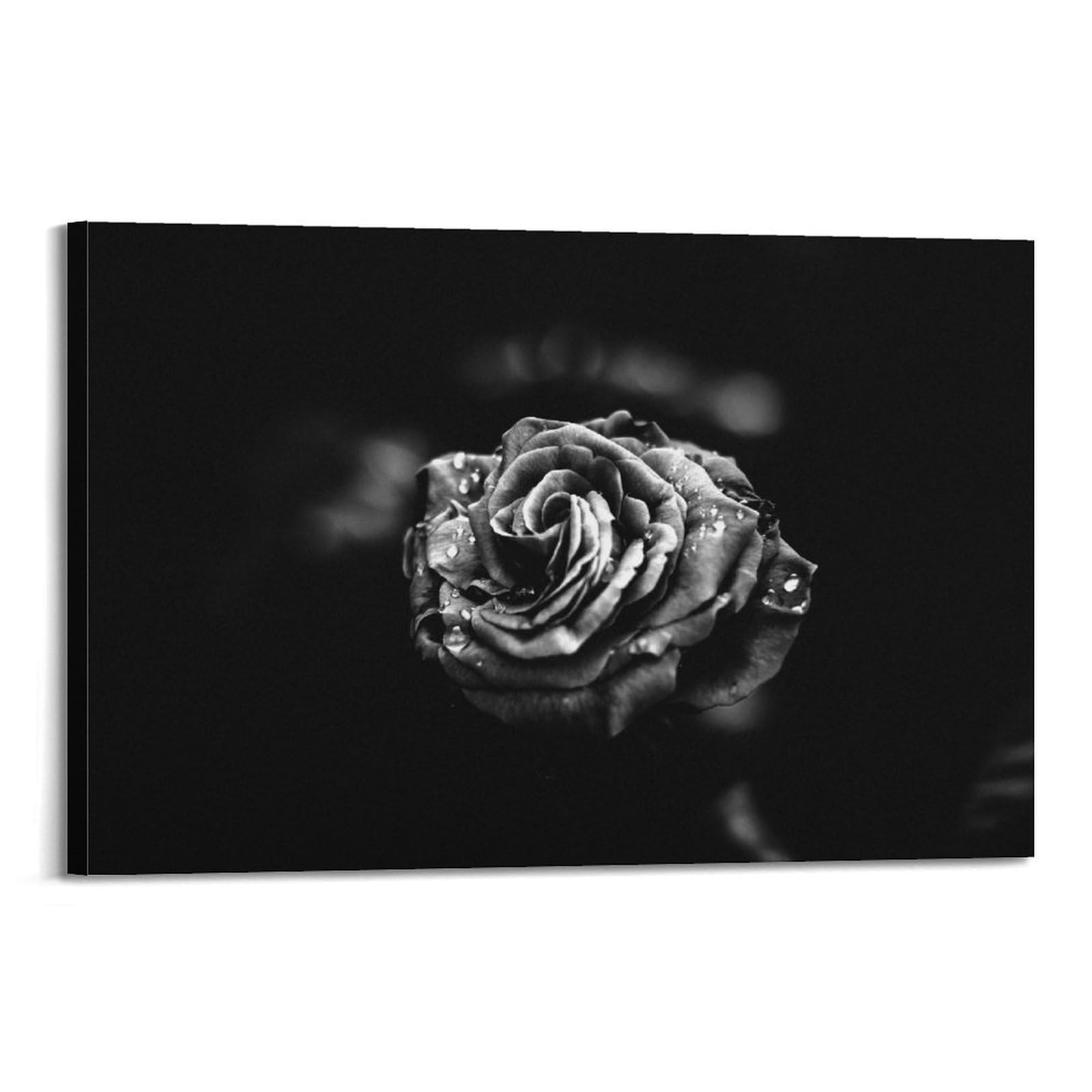 black-and-white-floral-wall-art-romantic-wall-art-picture-elegant