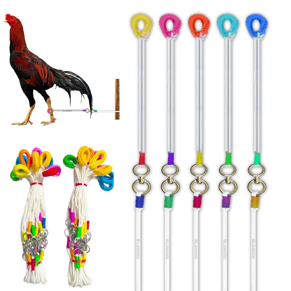 Multicolor Nylon Rooster Leash for Aseel Chicken, Poultry Accessories, Pack of 5-image-21