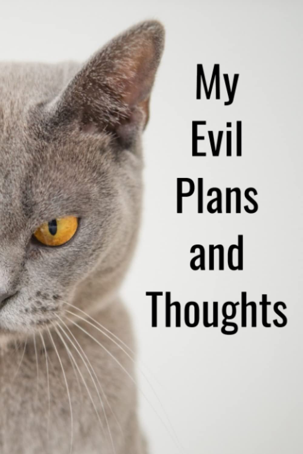 Evil Cat Notebook: Write all of your evil thoughts and plans...or just some notes