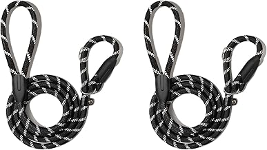WePet Durable Dog Leash for Medium Large Dogs, Sturdy and Premium Quality Reflective Leashes, Supports Strong Pulling, Comfortable Padded Handle, 6 Feet Slip Rope Lead for Walking and Training, 2 Pack