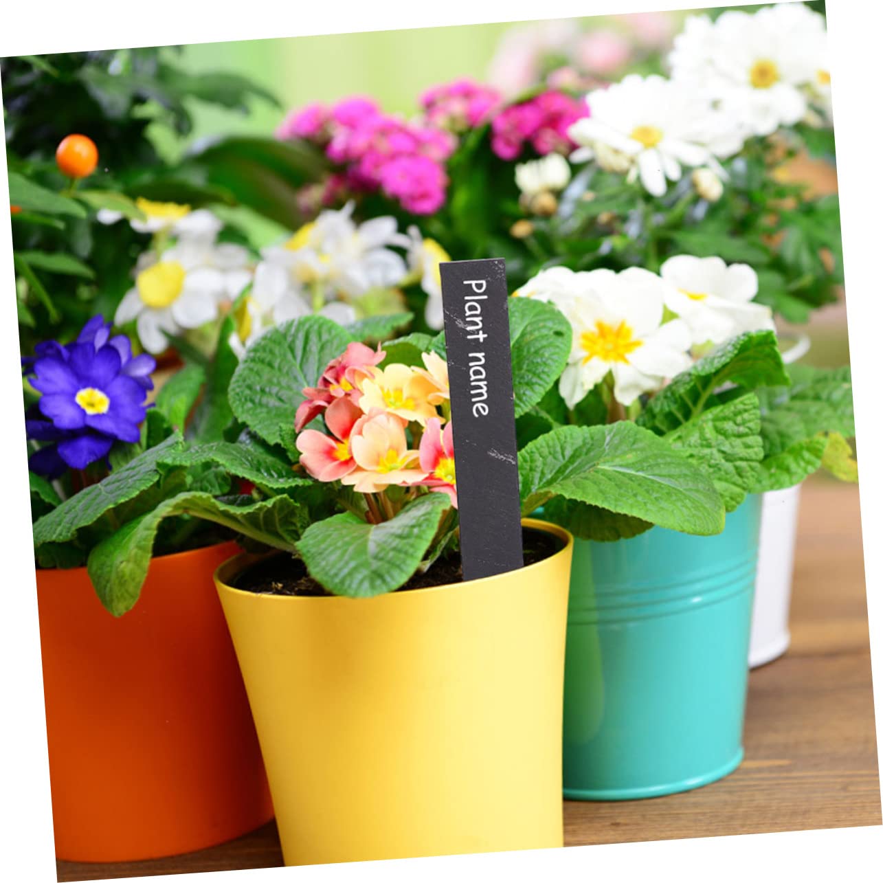 12pcs Étiquettes de Plantes en Ardoise Étiquettes Jardin Stables pour Fleurs et Plantes D'extérieur