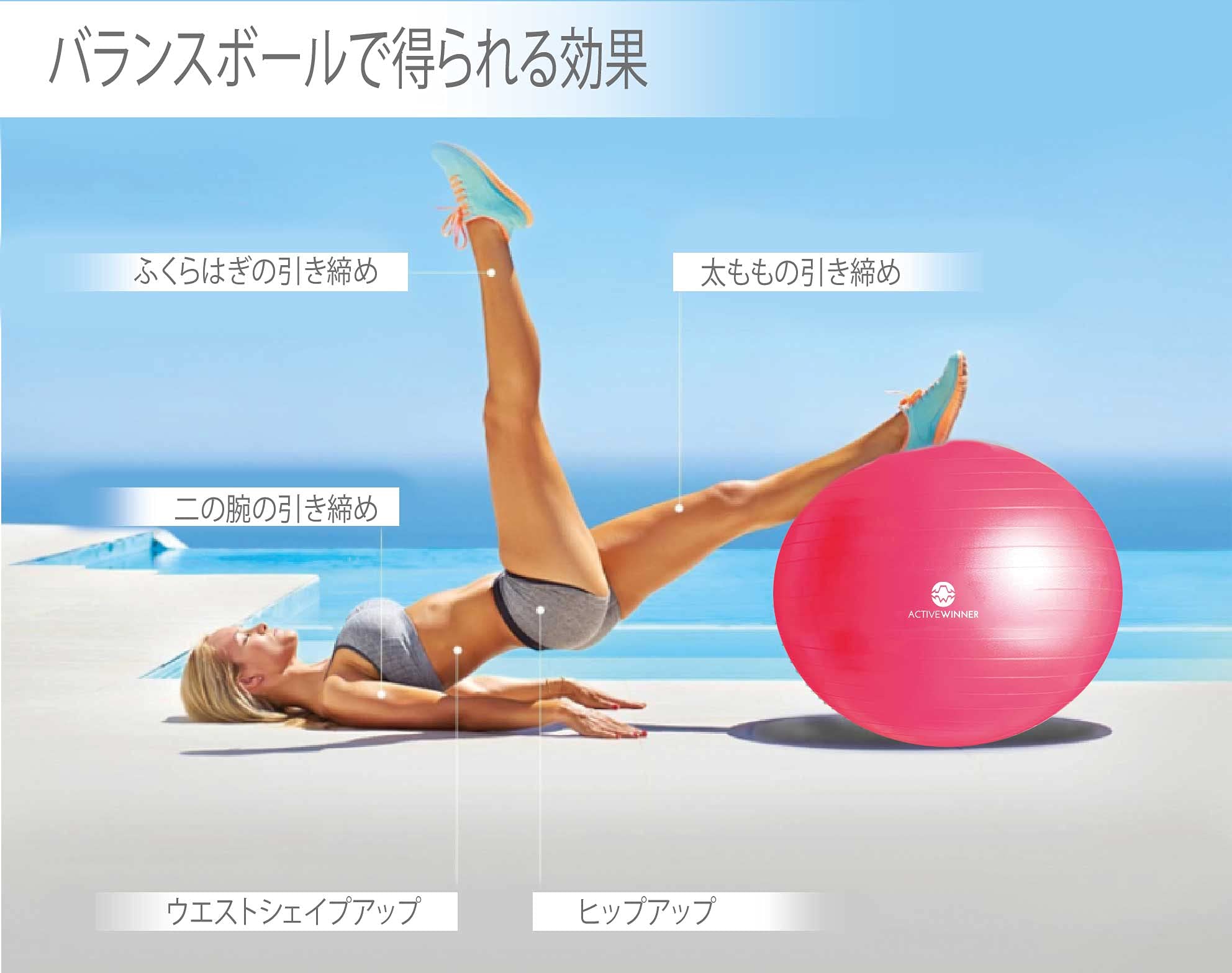 Amazon | Active Winner バランスボール 65/55cm アンチバースト