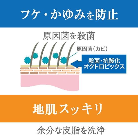 ライオン オクトserapie(セラピエ)薬用スキンケアシャンプーの商品画像