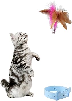 ジャンピング猫　じゃれ猫　フラワー じゃれ猫 吸盤でにゃんトレ ジャンピング｜郵便局のネットショップ