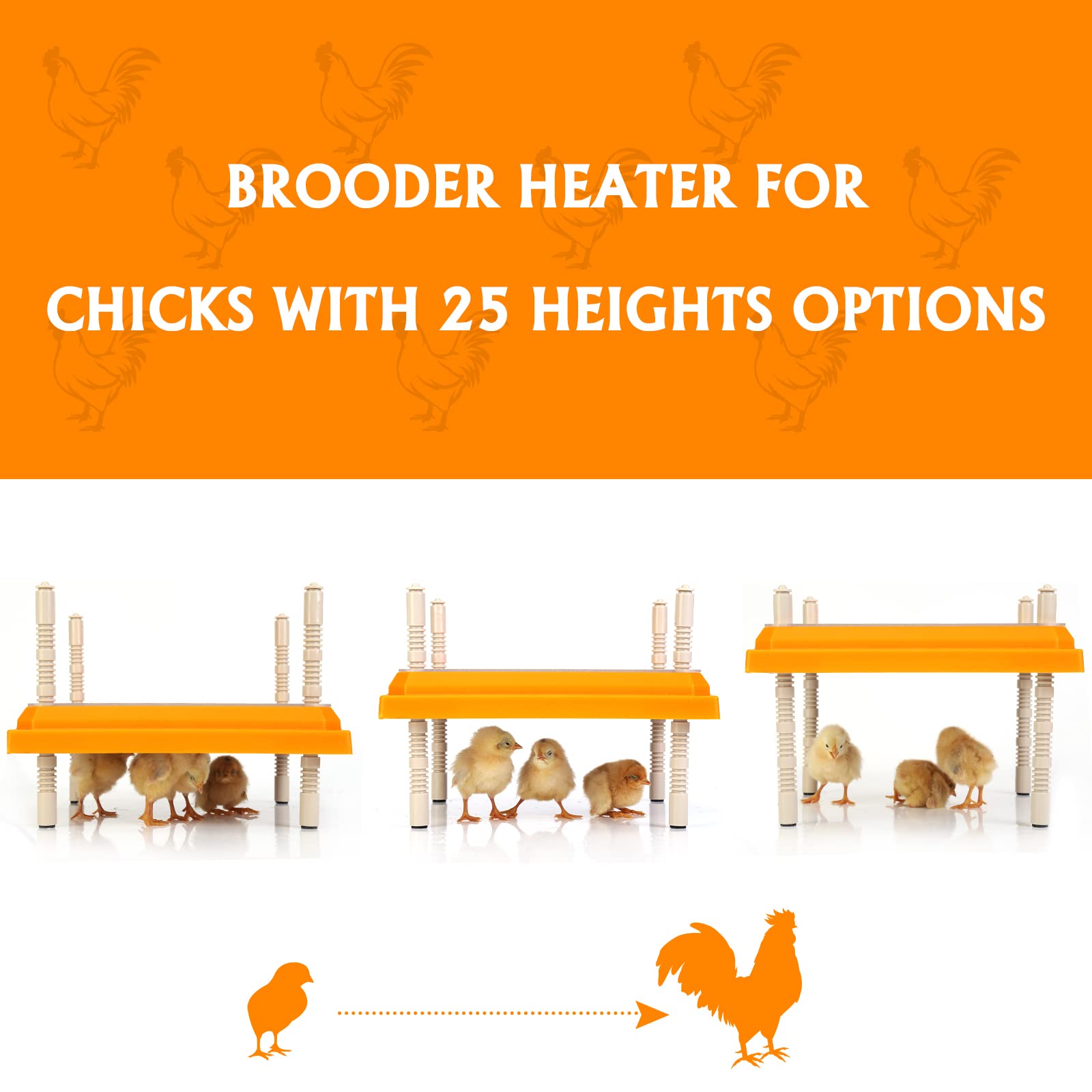 NORJIN Chick Brooder Heating Plate 10" X 10", Adjustable