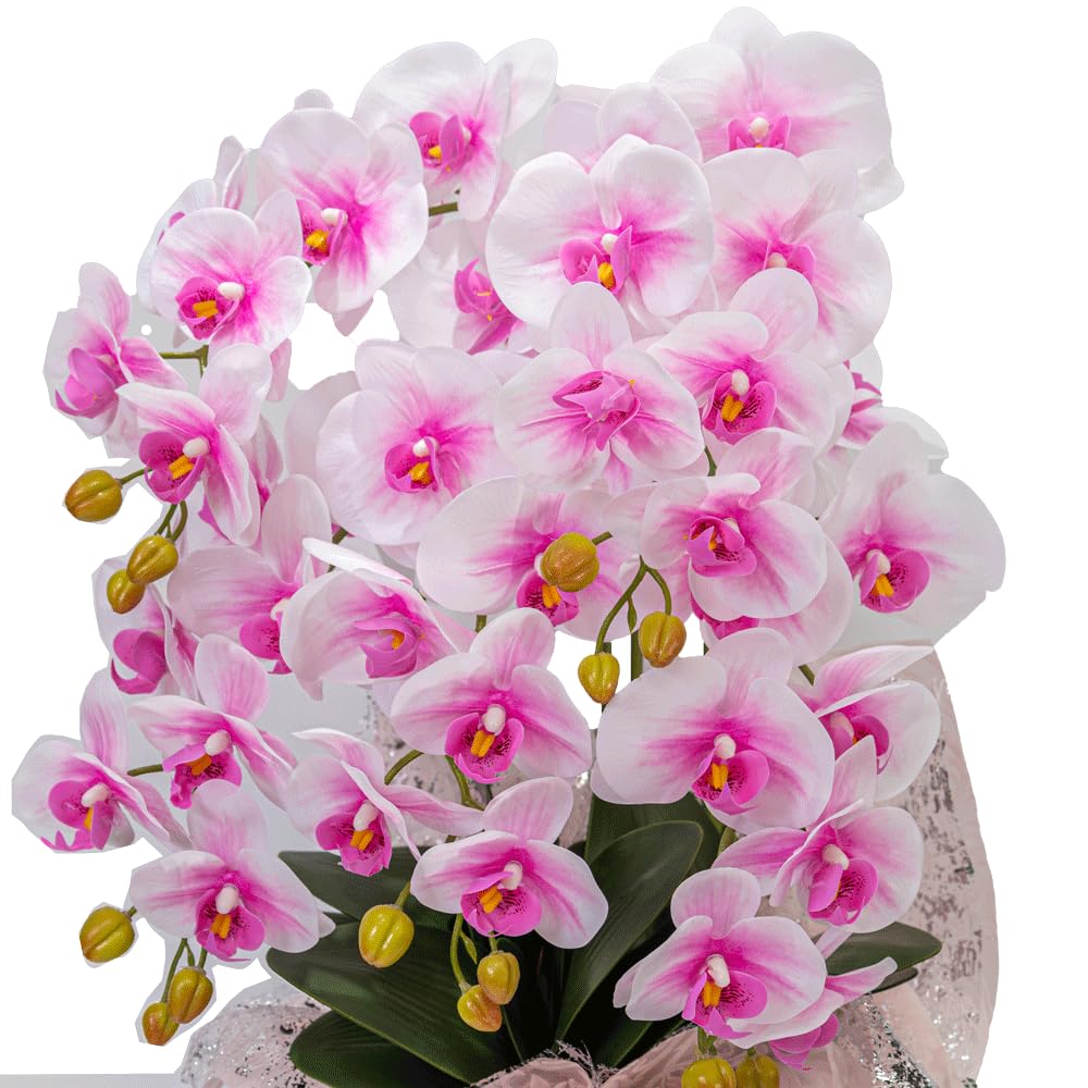 Amazon.co.jp: Phalaenopsis H1_013 5 Pink Artificial Flowers with