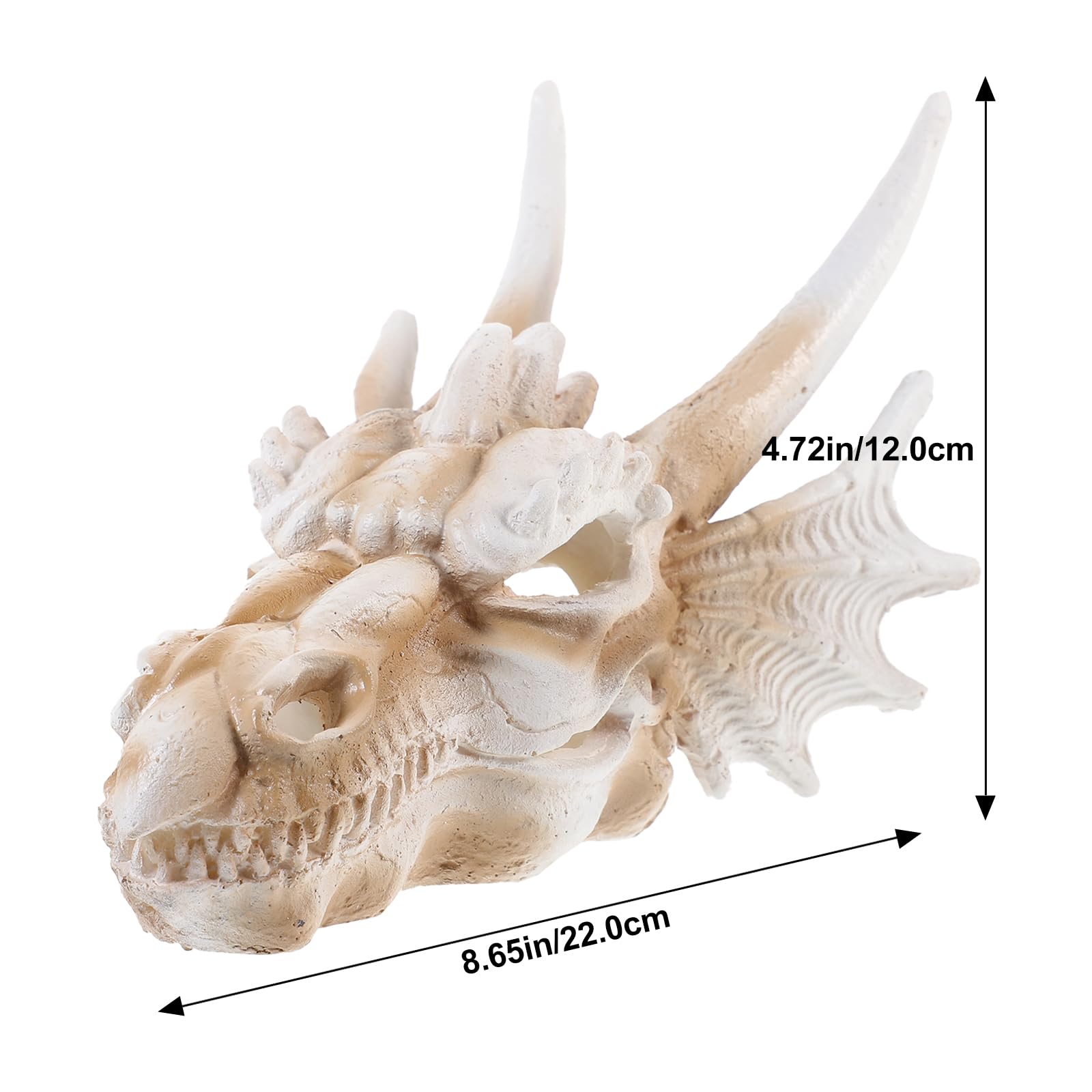 Amazon.com: Yardwe Dinosaur Skull Statue 8.66In Resin Dragon Skull