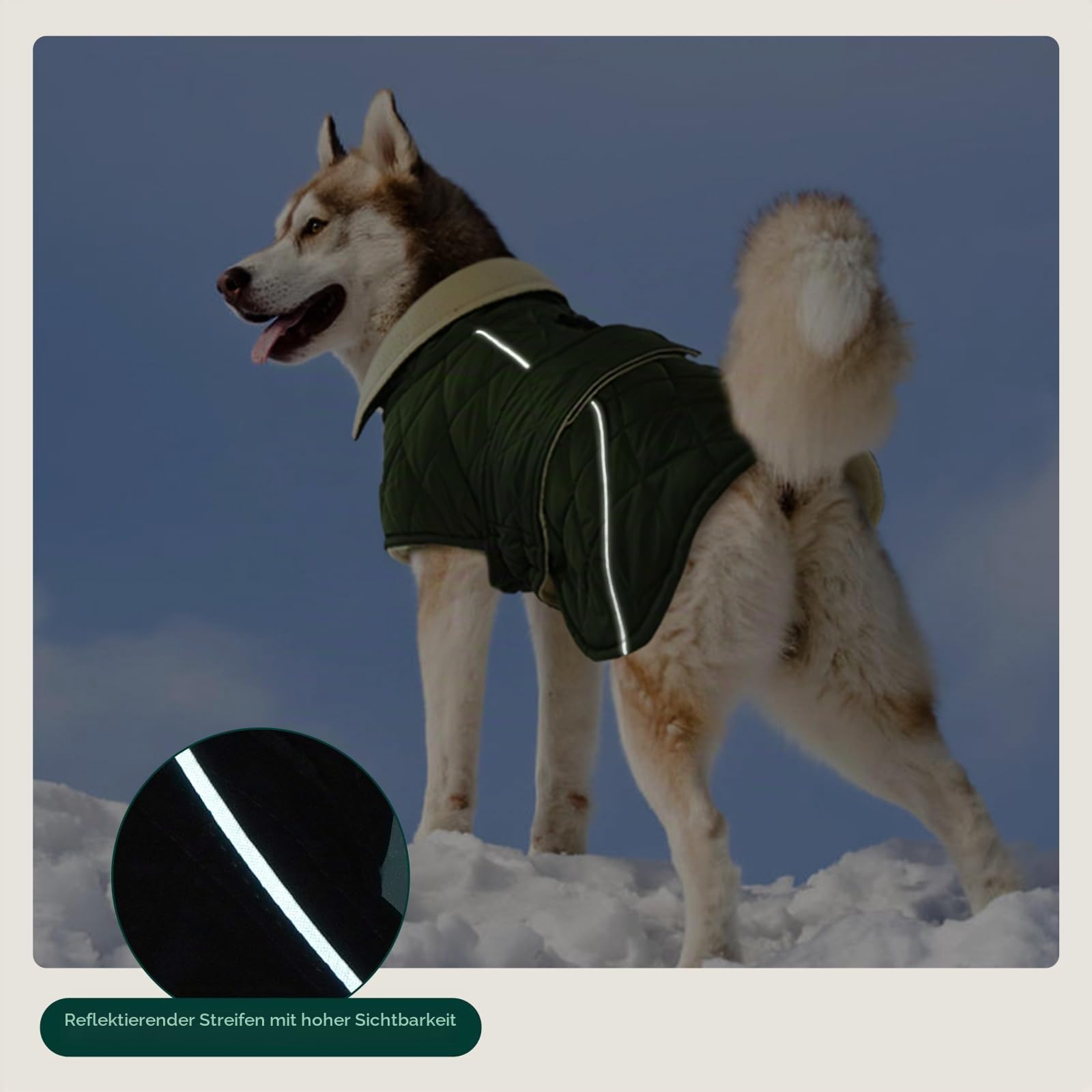 Kuoser Hundemantel für Mittelgroße Große Hunde, Hundejacke Wasserdicht Warm, Wintermantel mit Hohem Kragen & Klettverschluss, Elastischer Bauch, XL Grün
