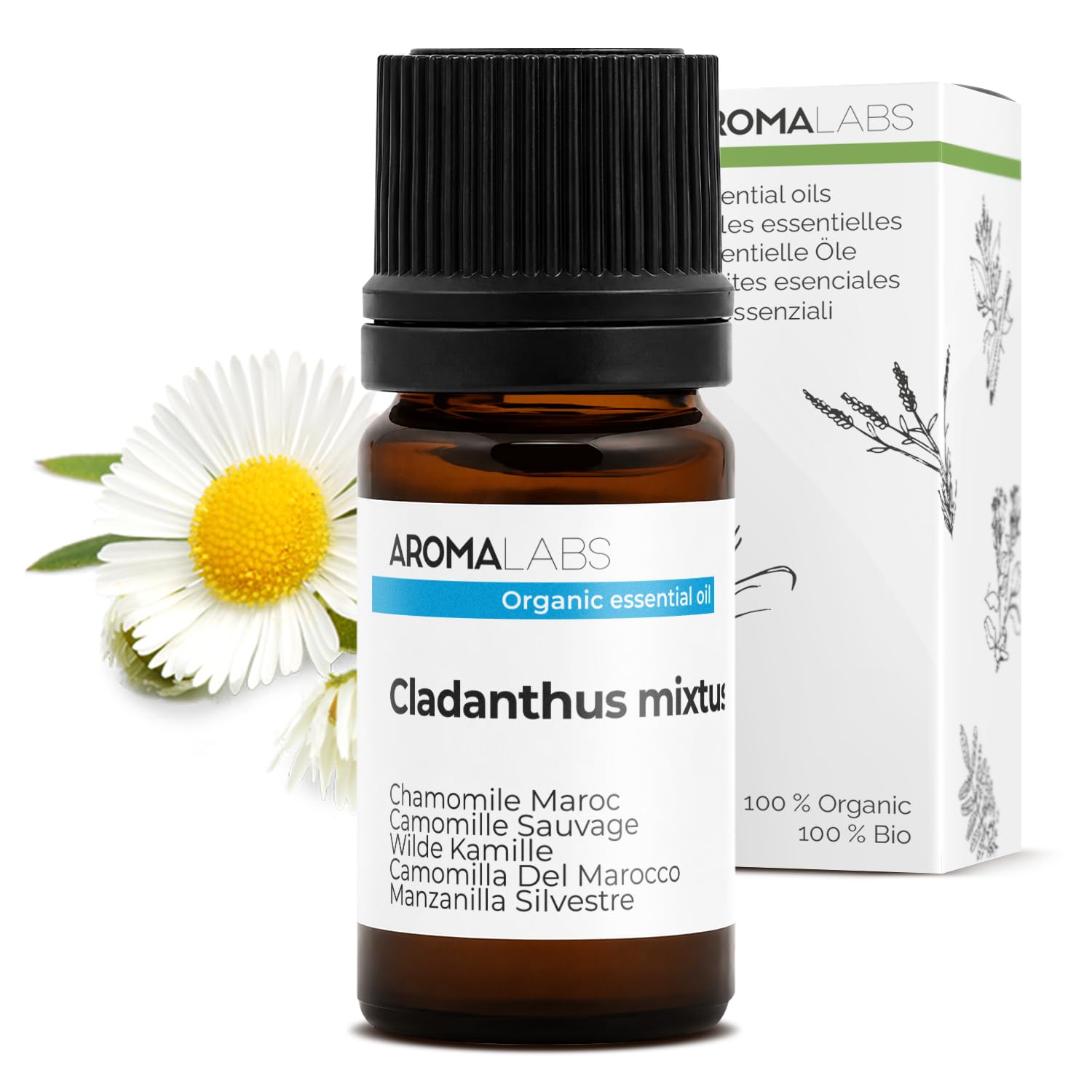 Organic Chamomile Maroc Essential Oil - 5ml - 100% Pure, Ecocert Certified Organic - Best Therapeutic Grade Essential Oil - Aroma Labs