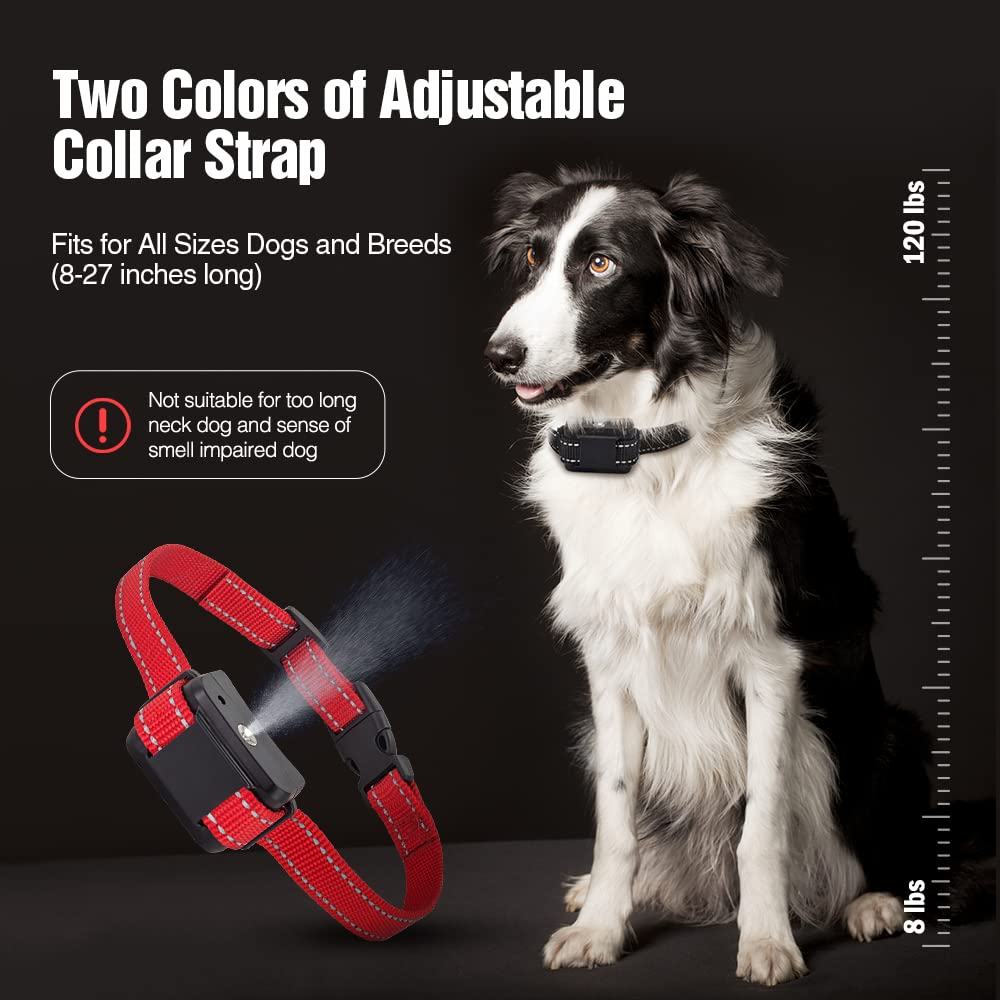 Bubbacare Collare Antiabbaio Per Cani, Auto Collari