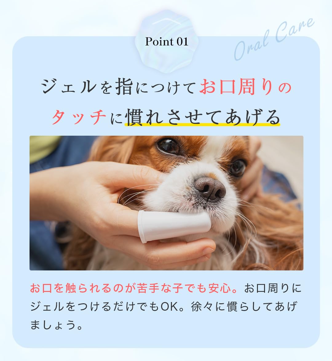 Amazon.co.jp: ミシュワン MISHONE トータルケアワン 犬 歯磨き 歯磨き