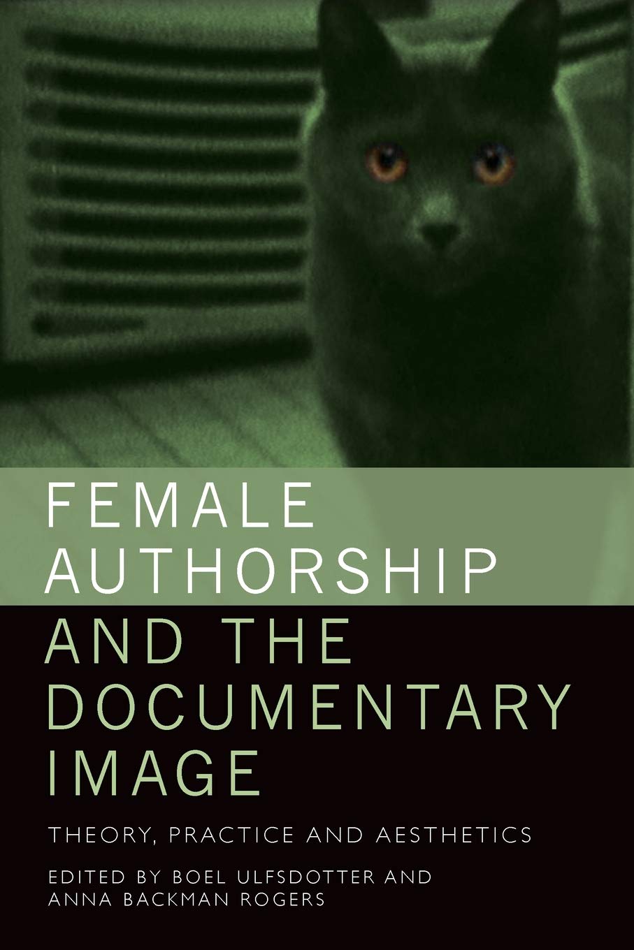 Female Authorship and the Documentary Image livre de théorie et d'esthétique du cinéma
