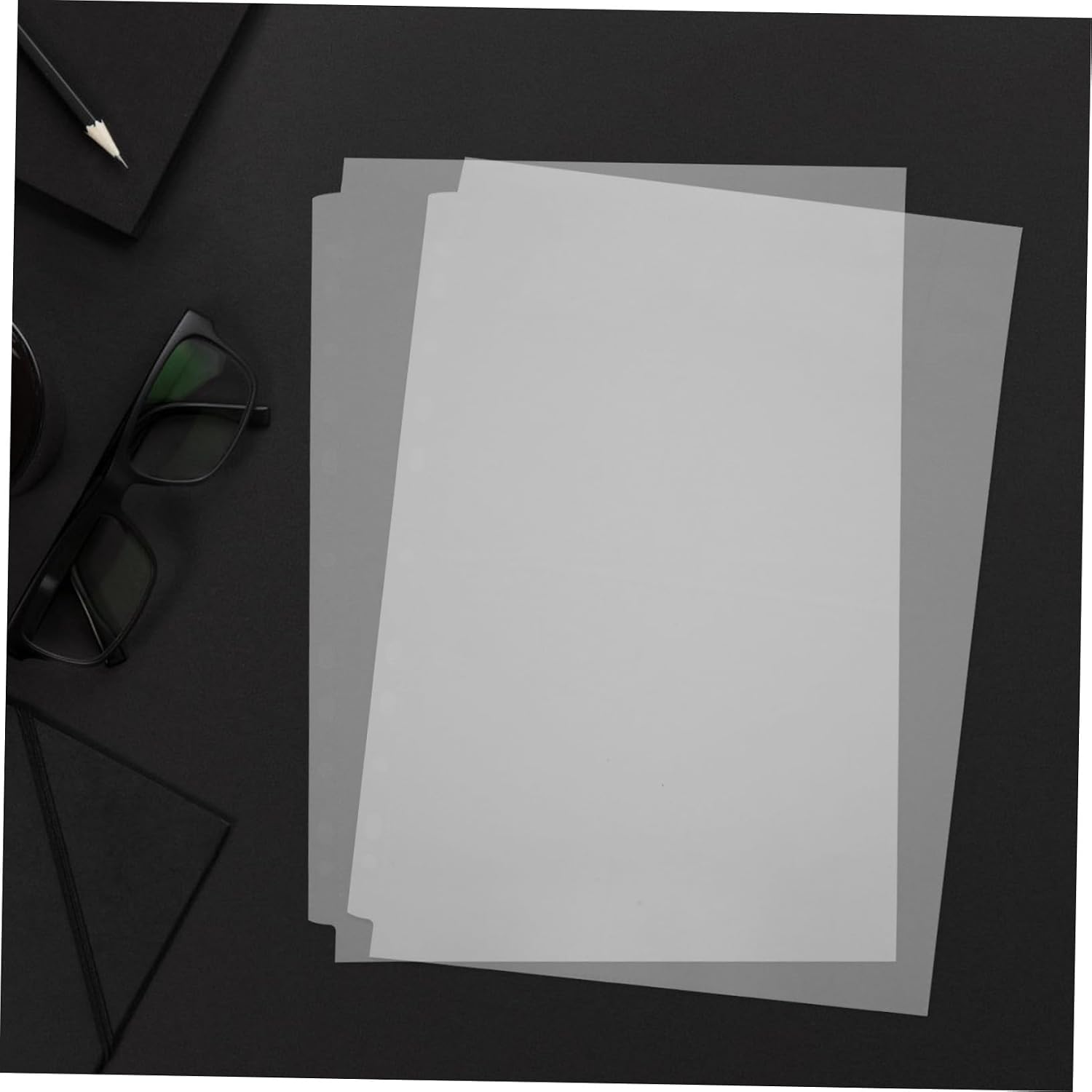 TEHAUX 60Pcs Double Sided Photo Refill Pages Transparent Protectors for Family Memories Slots Per Side PVC for Binders for Organizing Photos