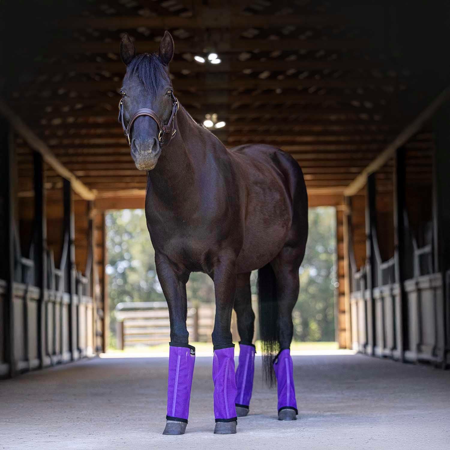 Jeffers Romper Stomper Fly Boots for Horses - Grey, Large – Breathable Mesh Leg Wraps for Insect Protection, Stable Accessories for Summer Turnout, Ride Gear, Horse Hoof & Leg Care - 4 Pack