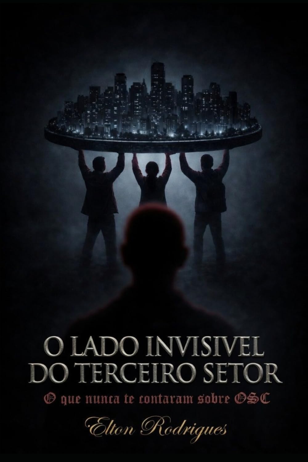 O lado invisivel do terceiro setor: O que nunca te contaram sobre OSC.