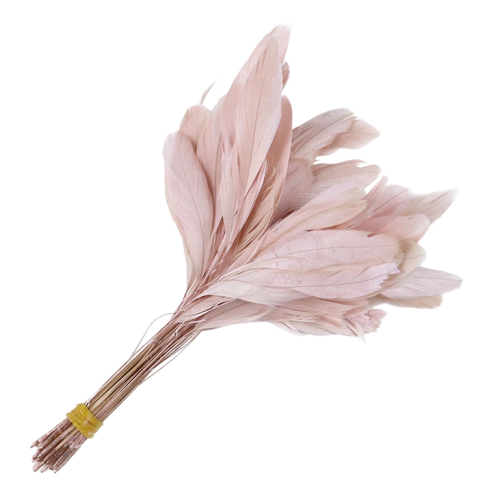 NMFLAB 50Pcs Colorful Craft Quills 4-6Inch Natural Craft Quills for Costume Making Home Decoration and Sewing Embellishment