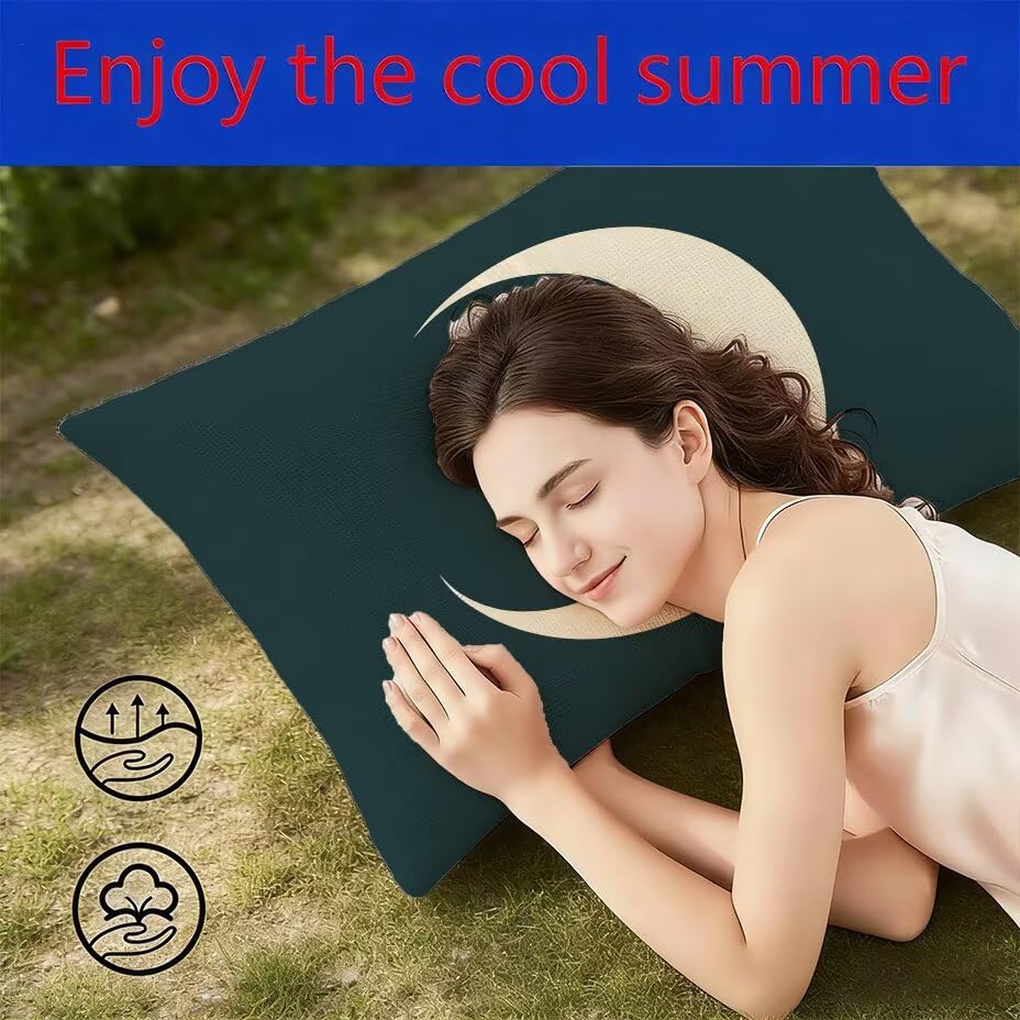 Housse de coussin extérieur imperméable 40x70 de jardin lune