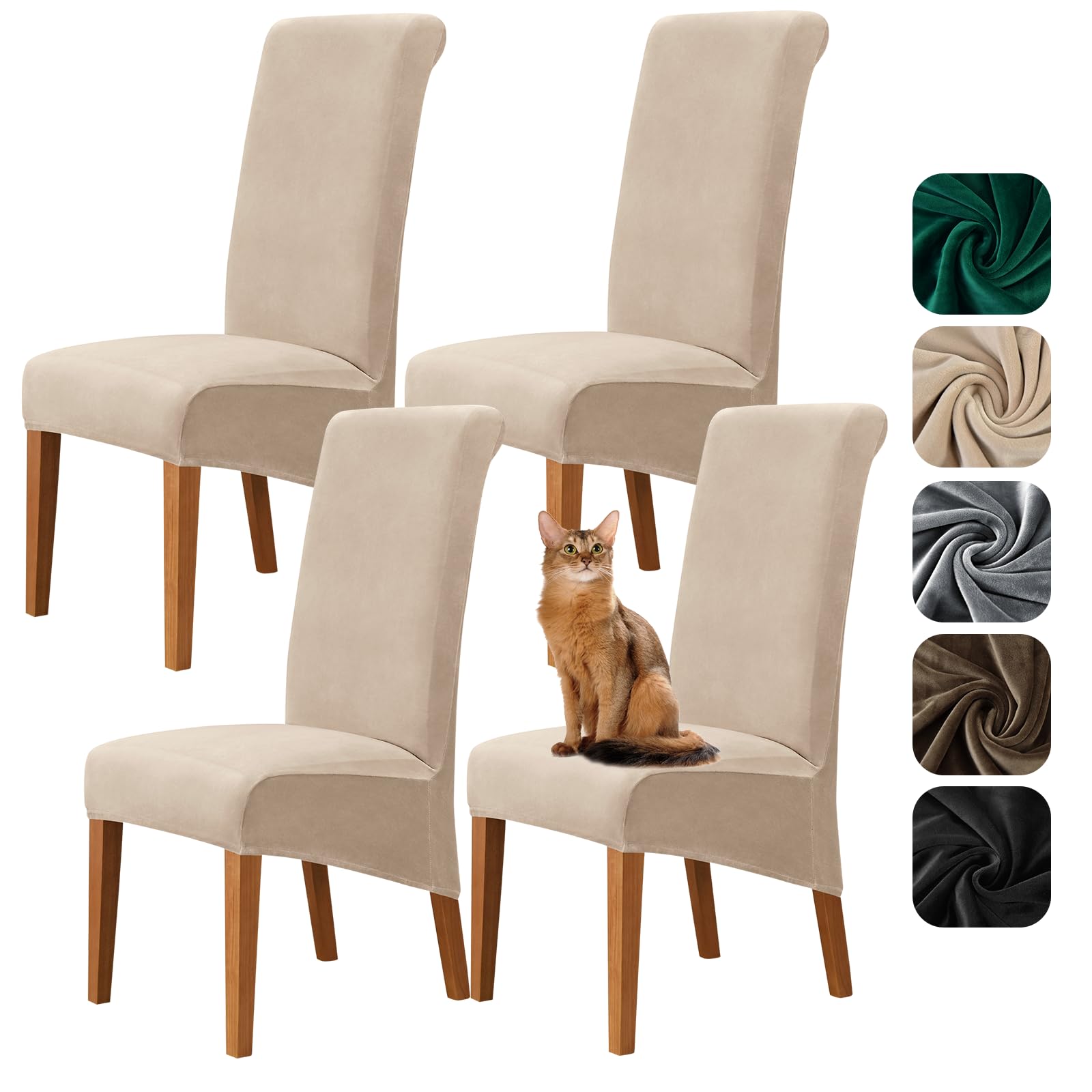 Alishomtll Samt Stuhlhussen 4er Set, XL Stuhlbezug Schwingstühle, Beige | Stretch Hussen für Stühle, Große Esszimmerstühle Bezug, Waschbar Abnehmbar Hussen für Küche Bankett Hochzeit Party