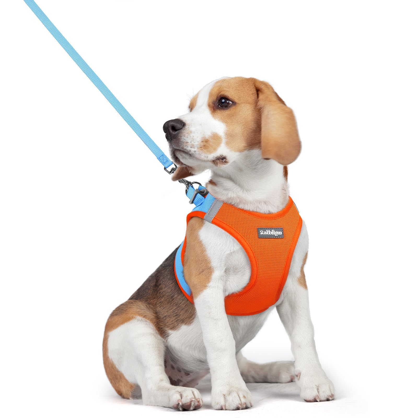 rabbitgoo Dog Harness Medium Sized and Leash Set, Step-in Puppy Pet Vest