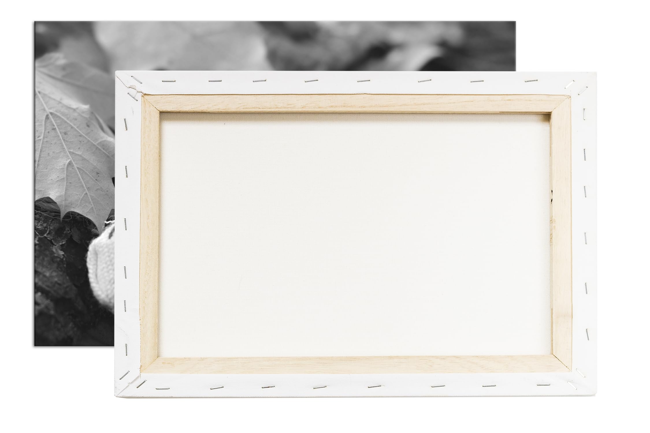 deyoli Décoration automnale - Format : 75 x 50 cm - Effet : noir/blanc - Impression numérique de qualité supérieure avec cadre en bois