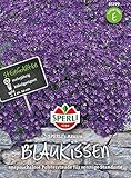 Sperli-Samen Blaukissen