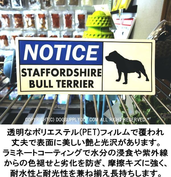 Amazon.co.jp: [MAGSIGN] スタンダードプードル 英語 お知らせ 