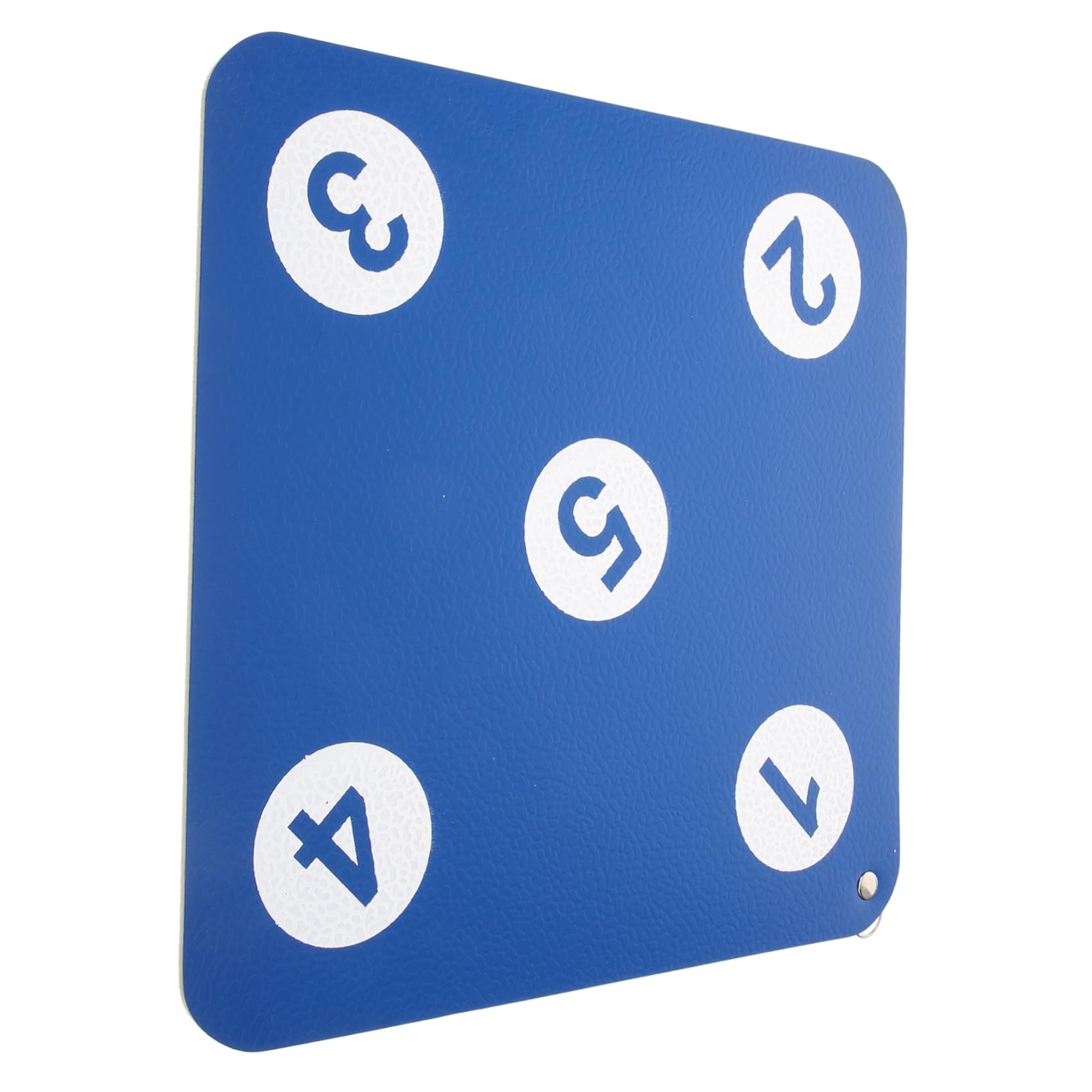 Anneome Sturdy Hanging Fencing Target for Practice Fencing Wall Target Double-Sided Sturdy Anti-Pierce Easy to Use