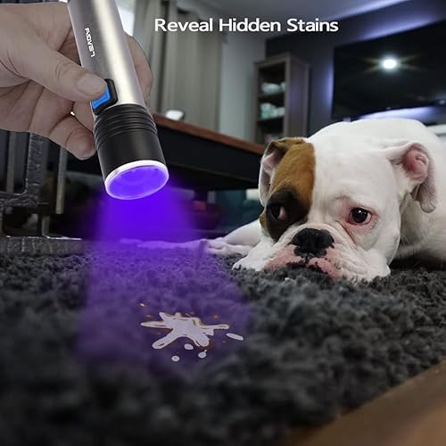 Miniatura 4 de LEAGY Paquete de 2 mini linterna UV recargable de 395 nm con USB, zoom, brillo ajustable para caza de escorpiones, detección de falsificaciones,