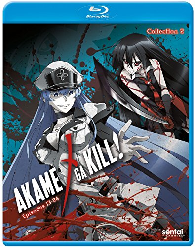 Akame Ga Kill 2