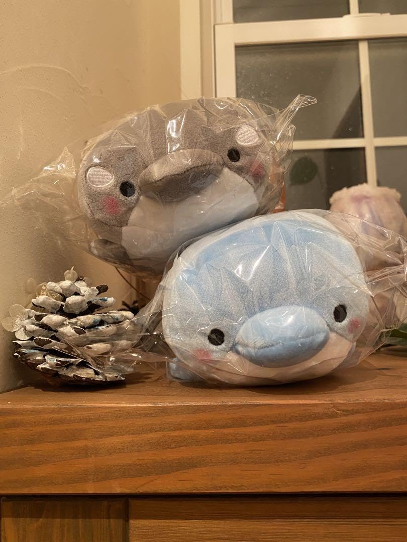 みいるか ゆるいるか 6種セット Amazon.co.jp: みいるか ゆるいるかぷち コンプリートセット