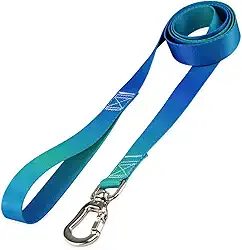 Basic Pet Coleira Guia 2 Metros Para Cães Cachorro Adestramento Passeio Porte Grande Médio Pequeno (Lake, G)