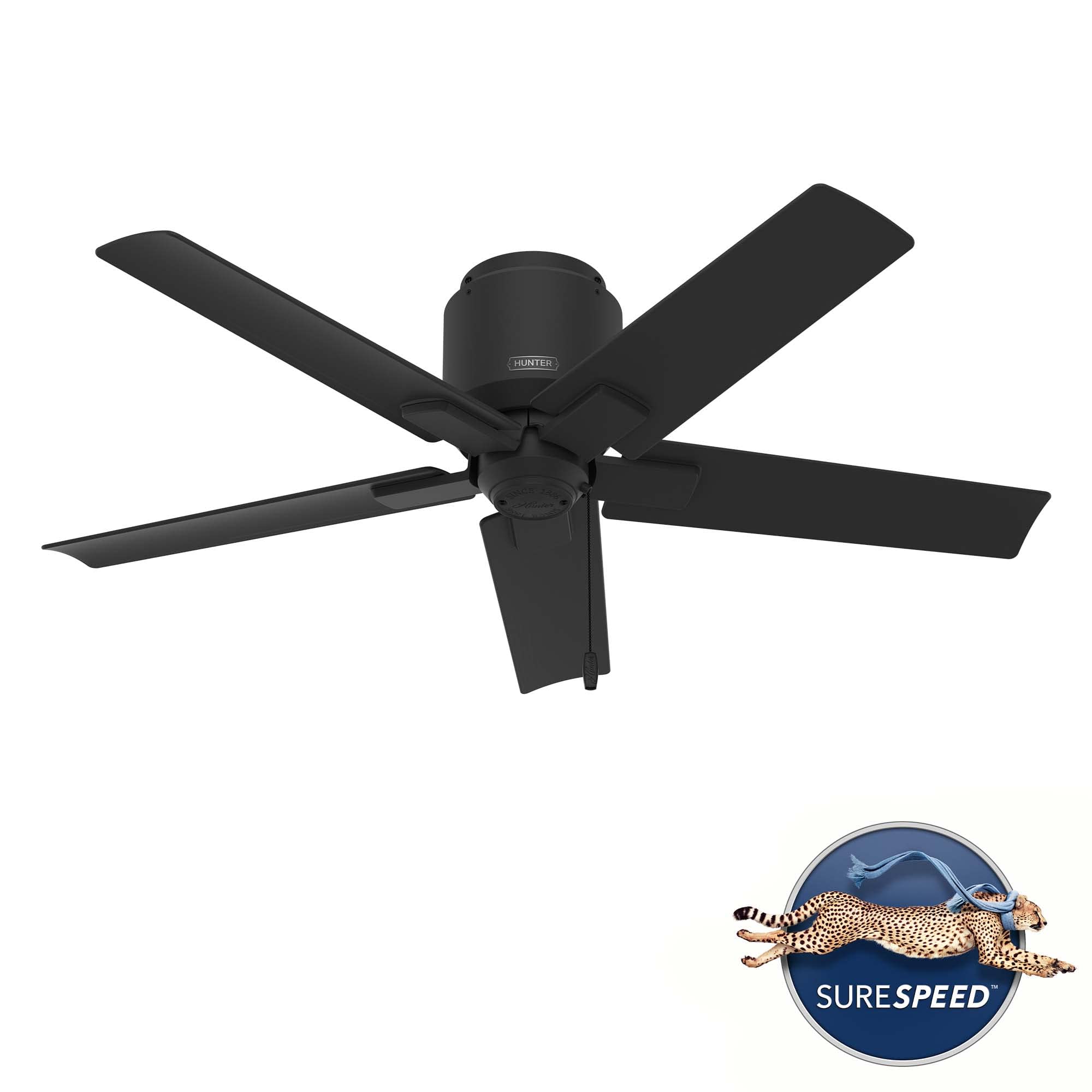 Hunter 44 inch Outdoor or Indoor Ceiling Fan No Light - Ceiling
