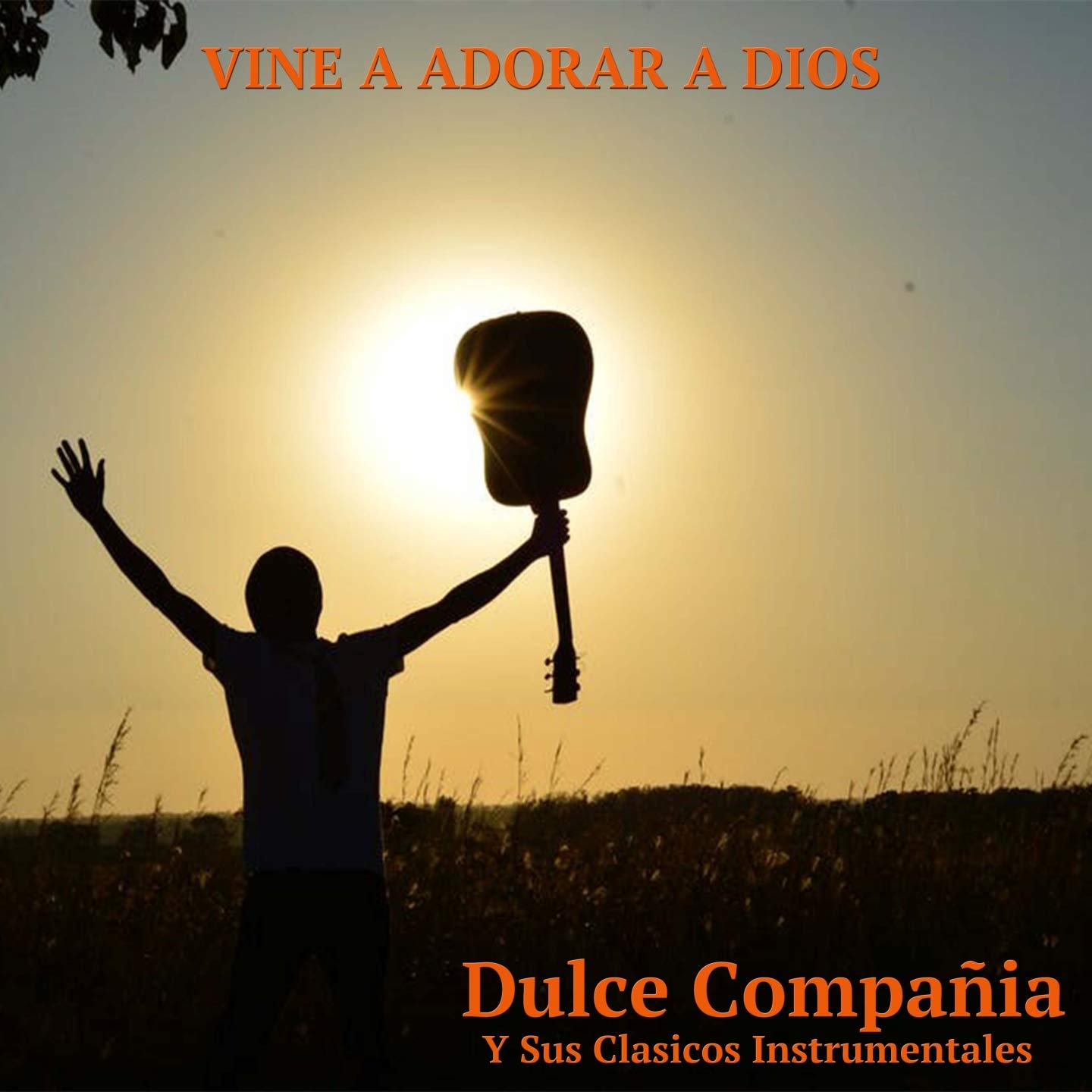 Dulce Compañía y sus Clasicos Instrumentales