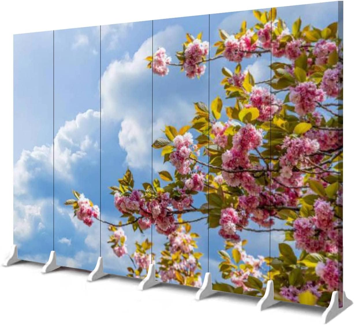 Buy Canvas Room Divider Screen Double Cherry Blossoms 6 Panel Office