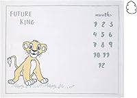 Vista 14 de Disney Classic Winnie The Pooh, manta de bebé súper suave color blanco, gris y lima, blanco, gris, lima, carbón