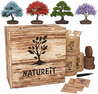 Natureit Bonsai Tree Kit - Unique Wooden Growing Kit. Everything Needed ...