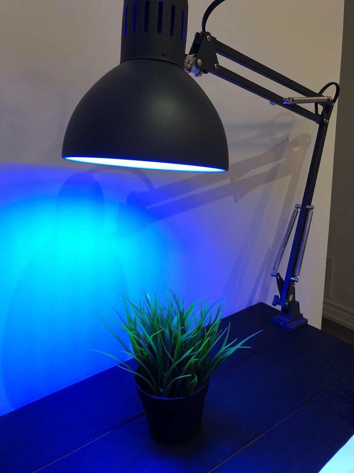 If you don't mind the price, This is an awesome Light Bulb with lots of functionality