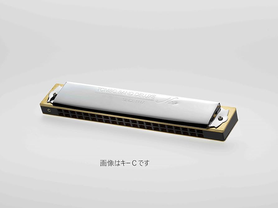 Amazon.co.jp: Tombow 1521TD# Double Tone Harmonica, Made in