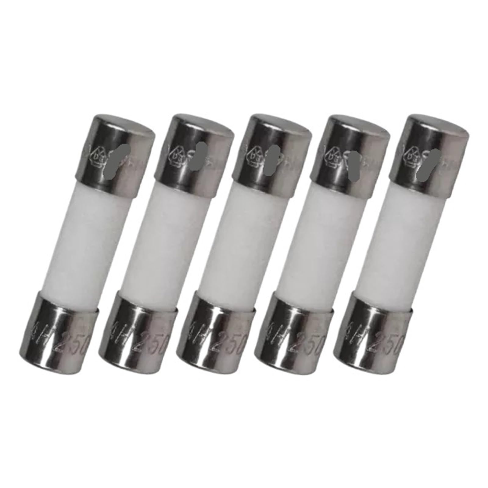 KXIWLUFV 5PCS 8A 250V Ceramic Fuse 5X20mm