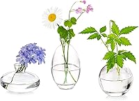 Vista 1 de Juego de 3 jarrones de vidrio para capullos, jarrones pequeños transparentes lindos Hewory hechos a mano, mini jarrón de vidrio para flores