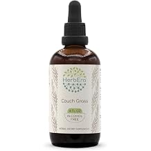 HerbEra Couch Grass B120 Alcohol Free Herbal Extract Tincture, Super-Concentrated Couchgrass Elymus Repens 4 fl oz