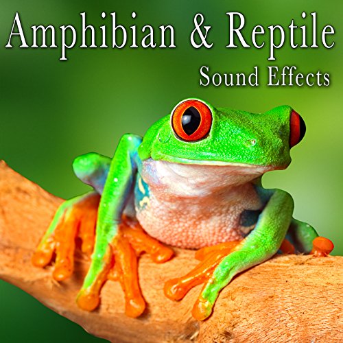 Amphibian & Reptile Sound Effects von The Hollywood Edge Sound Effects Library bei Amazon Music