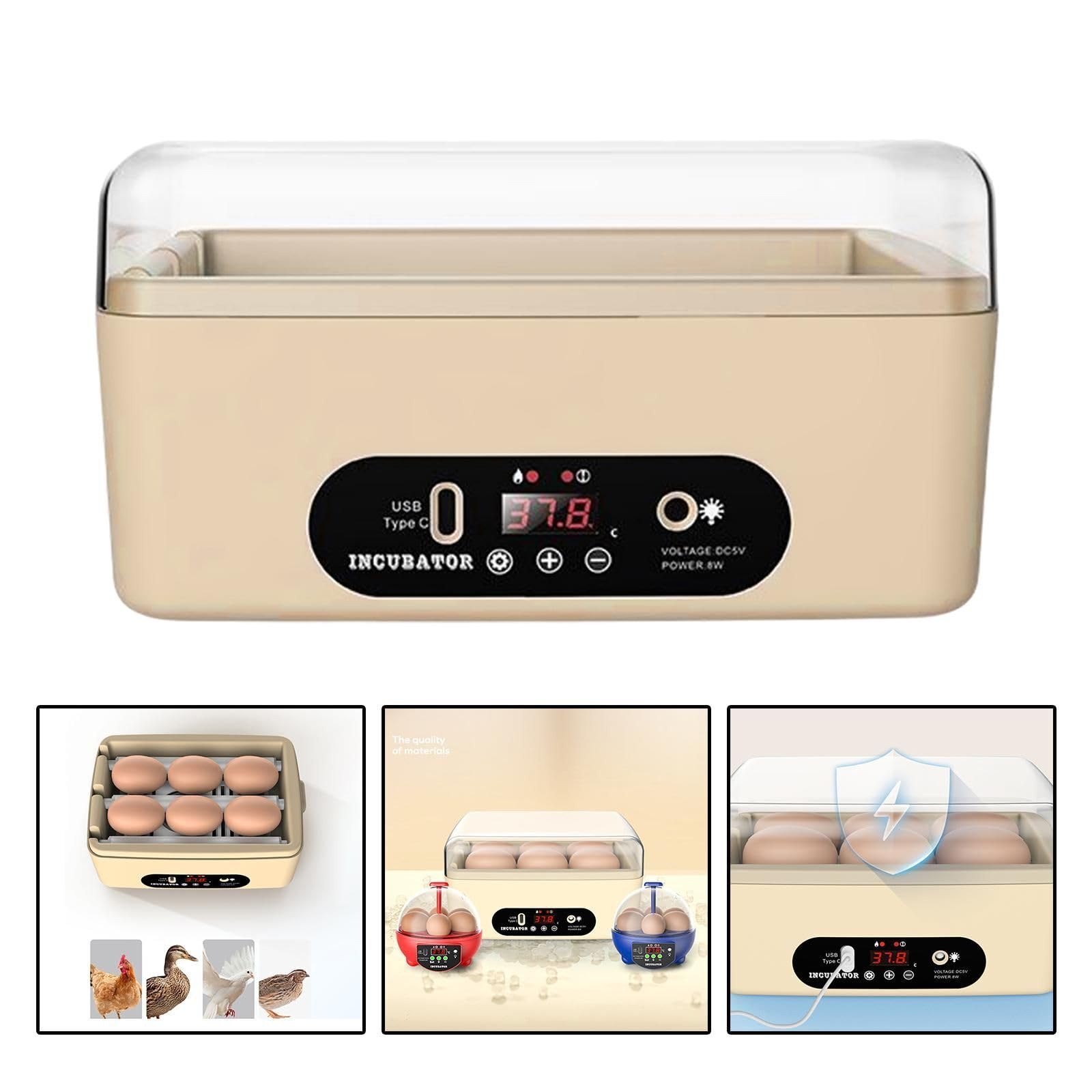 Mini Couveuse Oeuf Automatique, Incubateur Oeuf Automatique 6 Oeufs avec Retournement Automatique des Oeufs, Contrôle de la température, Pour l'incubation des Oeufs de Poulets, Cailles, Canards