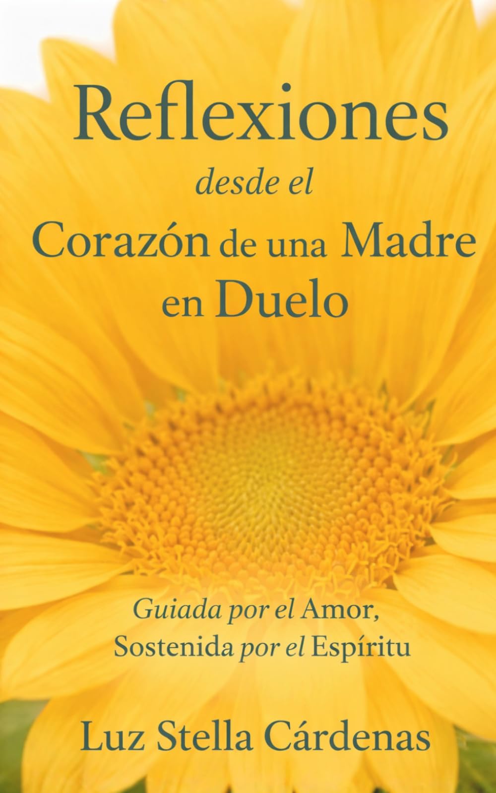 Reflexiones desde el Corazón de una Madre en Duelo: Guiada por el Amor, Sostenida por el Espíritu