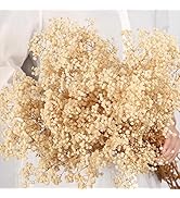 Dried Babys Breath Flowers Bouquet-17 Inch 5000+ Ivory White Dry Flowers, Natural Gypsophila Bran...
