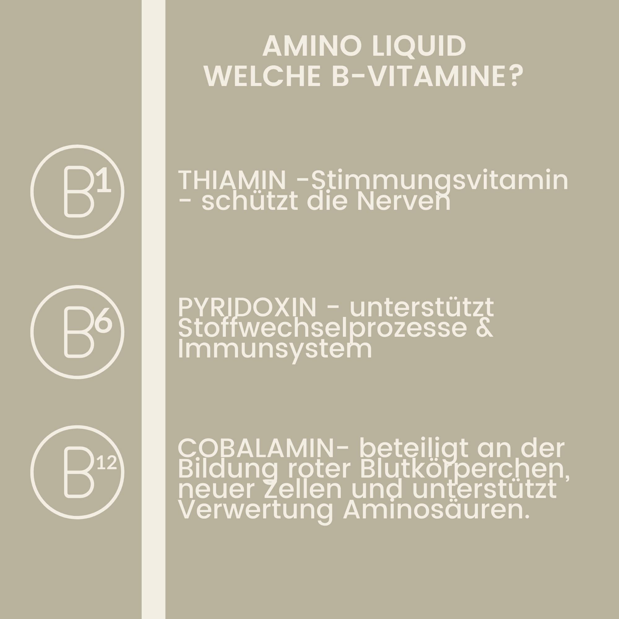 Amino Liquid I Aminoacidi Complesso vitaminico B I Mangime complementare Vitamina B12 I Zinco cavallo I Costruzione dei muscoli cavallo Rafforzamento dei muscoli I Rigenerazione muscoli per cavalli 1L