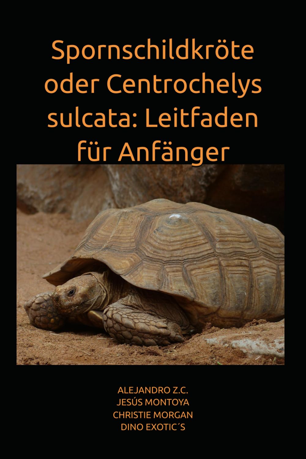 Spornschildkröte oder Centrochelys sulcata: Leitfaden für Anfänger
