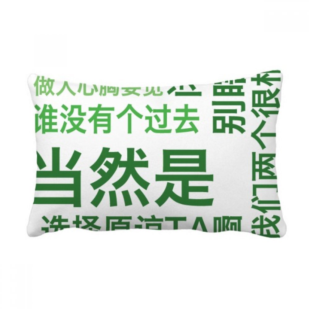 Coussin lombaire blague chinoise multicolore de 16x24 pouces pour canapé